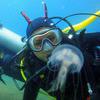 Picture taken during the dive