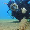 Picture taken during the dive