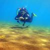 Picture taken during the dive