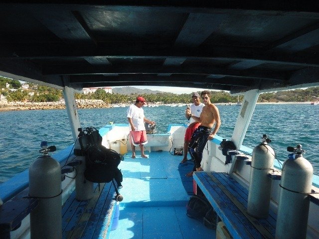 Puerto Dive Center - Dive Center in Mexico