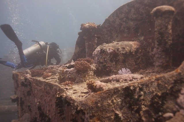 Dophin Diving Center - Dive Center in Egypt