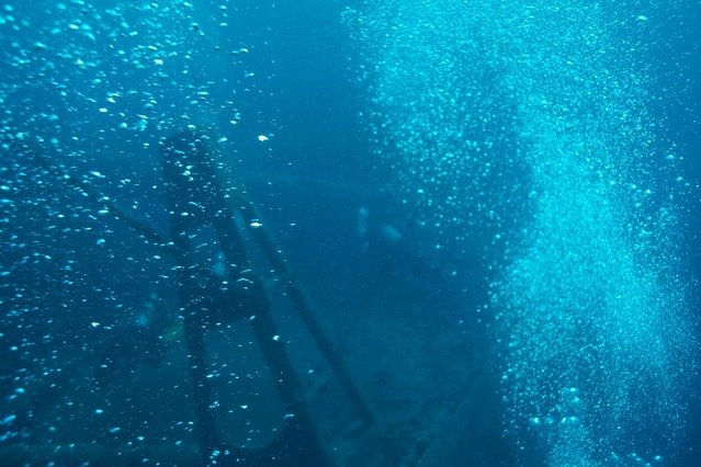 Dolphin Diving Center - Dive Center in Egypt