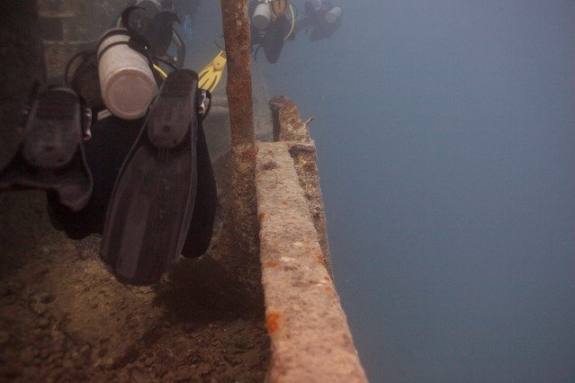 Dolphin Diving Center - Dive Center in Egypt