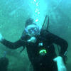 Picture taken during the dive