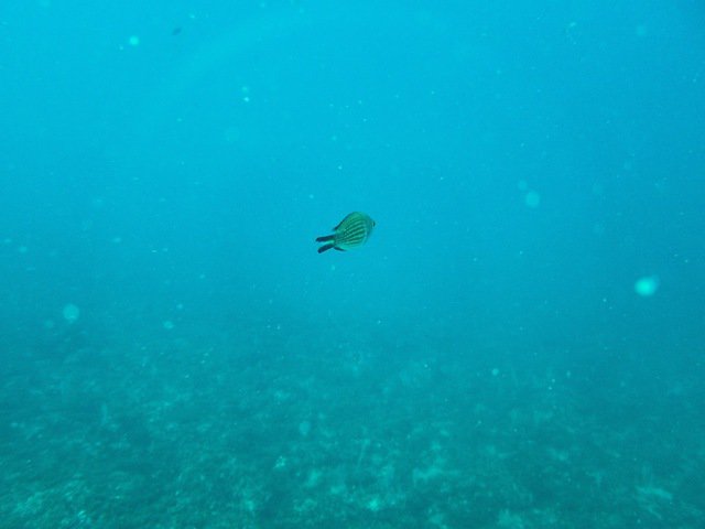 Costa Brava Divers - Dive Center in Spain