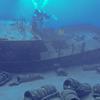 Picture taken during the dive