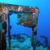 Picture taken during the dive