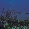 Picture taken during the dive