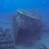 Picture taken during the dive
