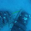 Picture taken during the dive