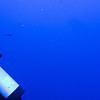Picture taken during the dive