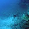 Picture taken during the dive