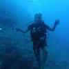 Picture taken during the dive