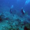 Picture taken during the dive