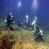 Picture taken during the dive