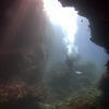 Picture taken during the dive