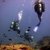 Picture taken during the dive