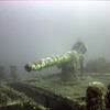 Picture taken during the dive