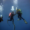Picture taken during the dive