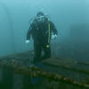 Picture taken during the dive