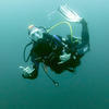 Picture taken during the dive
