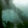 Picture taken during the dive