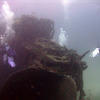 Picture taken during the dive