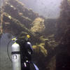 Picture taken during the dive