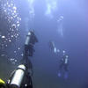 Picture taken during the dive