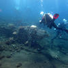 Picture taken during the dive