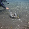 Picture taken during the dive