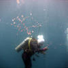 Picture taken during the dive