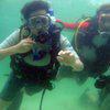Picture taken during the dive