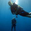 Picture taken during the dive
