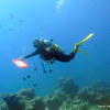 Picture taken during the dive