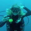 Picture taken during the dive