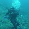 Picture taken during the dive