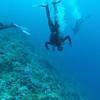 Picture taken during the dive