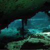 Picture taken during the dive