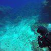 Picture taken during the dive