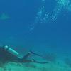 Picture taken during the dive
