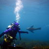 Picture taken during the dive