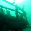 Picture taken during the dive