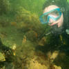 Picture taken during the dive