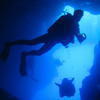 Picture taken during the dive