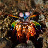 Picture taken during the dive