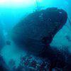 Picture taken during the dive