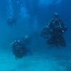 Picture taken during the dive