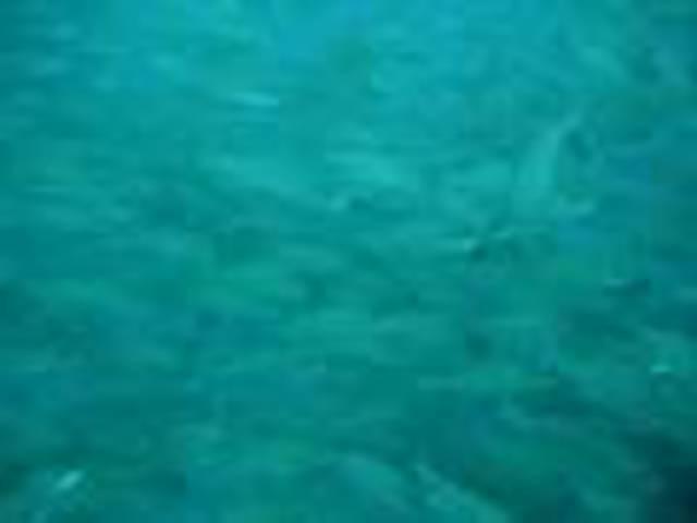Epsilon Dive Center - Dive Center