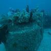Picture taken during the dive